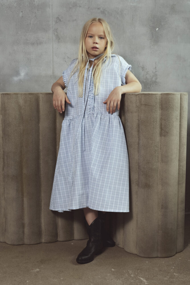 Ada dress ils dress  | unlabel