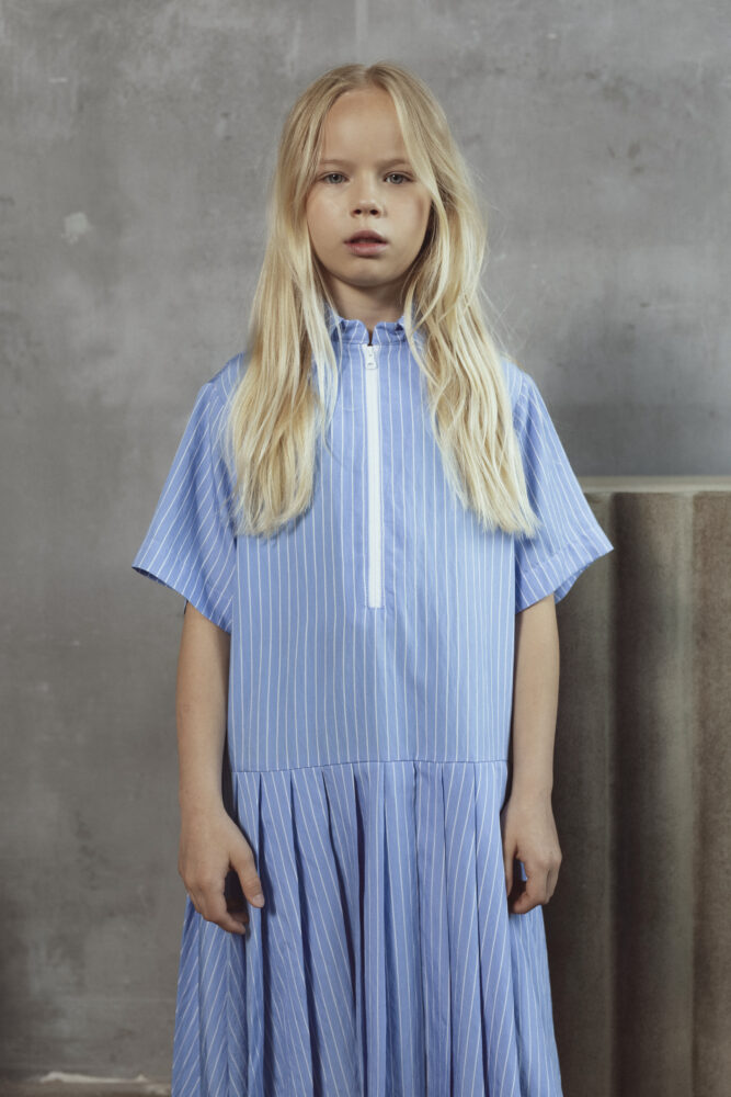 Eve dress ils dress  | unlabel